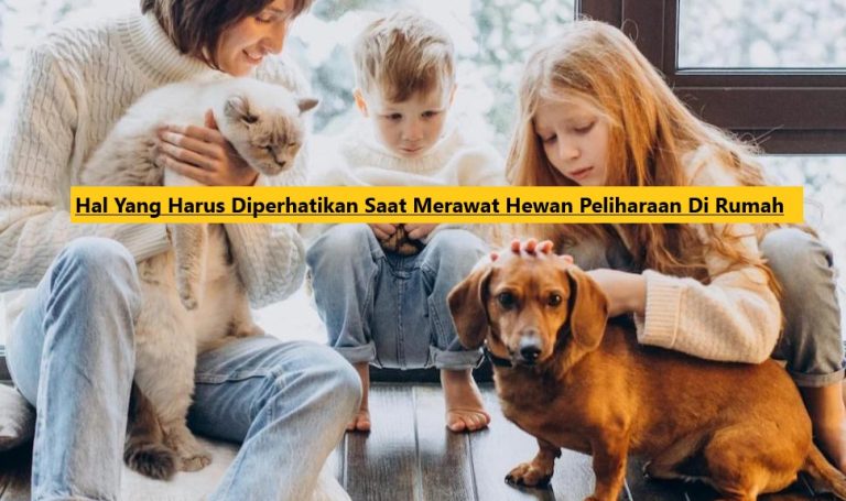 Apakah Kamu Memelihara Hewan Peliharaan Di Rumah